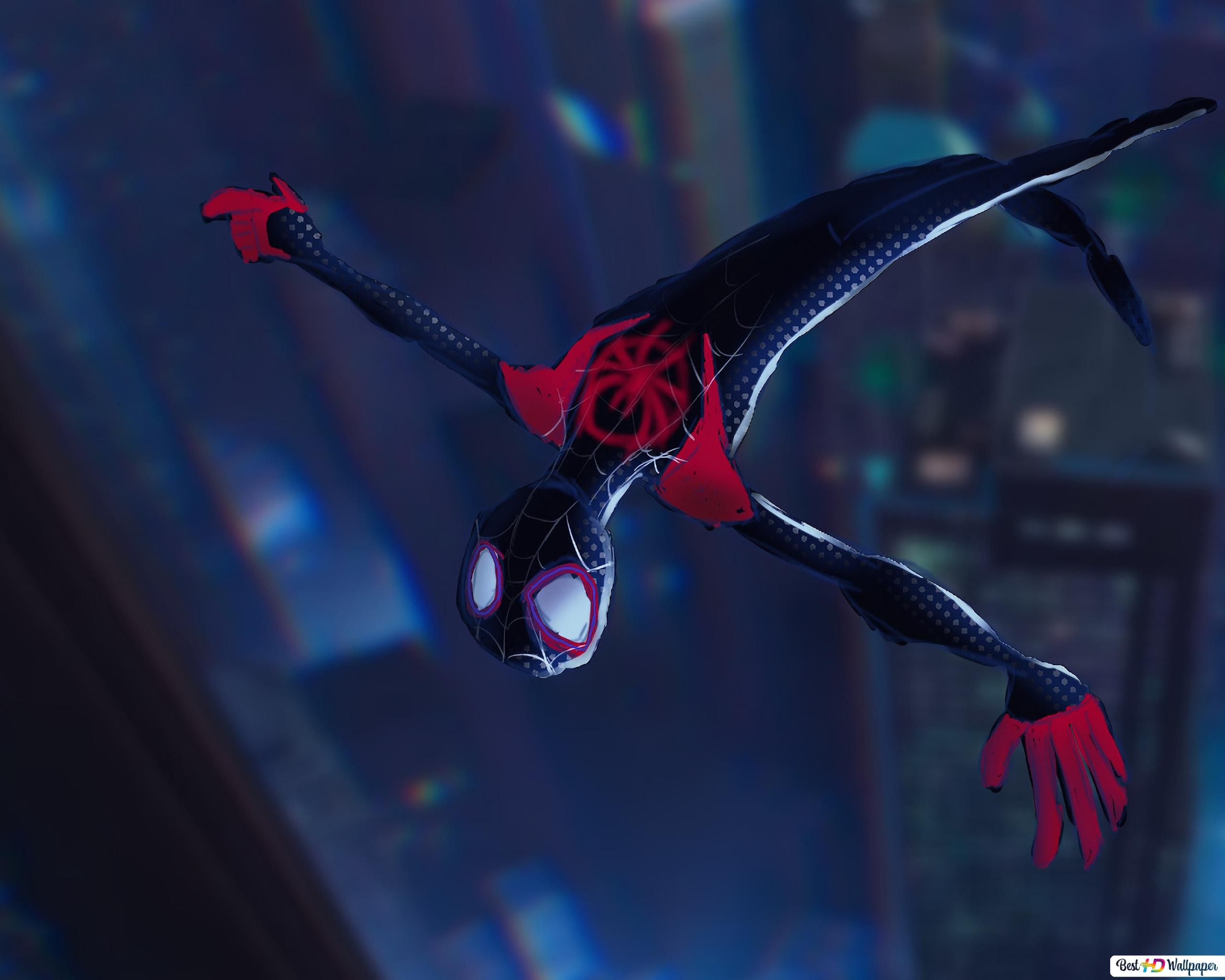 Miles Morales Spider-Man Falling Cool Wallpapers