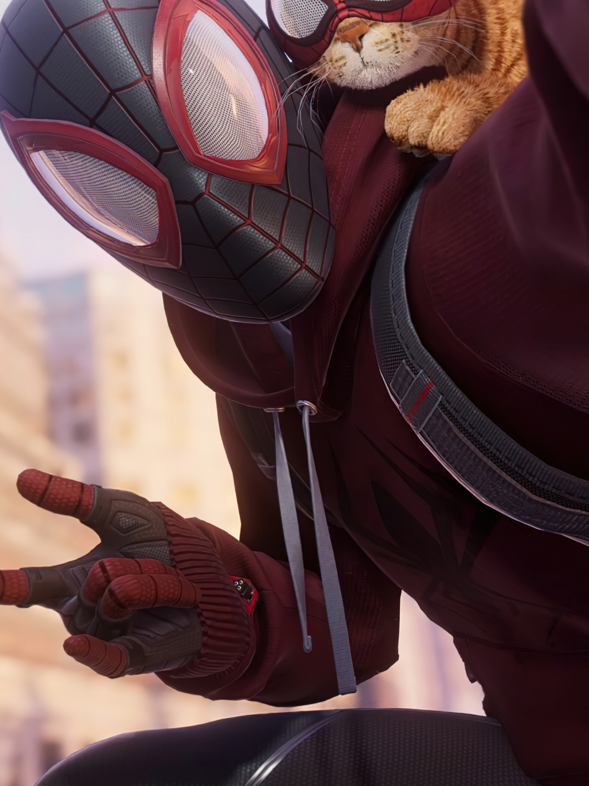 Miles Morales With Cat Wallpapers