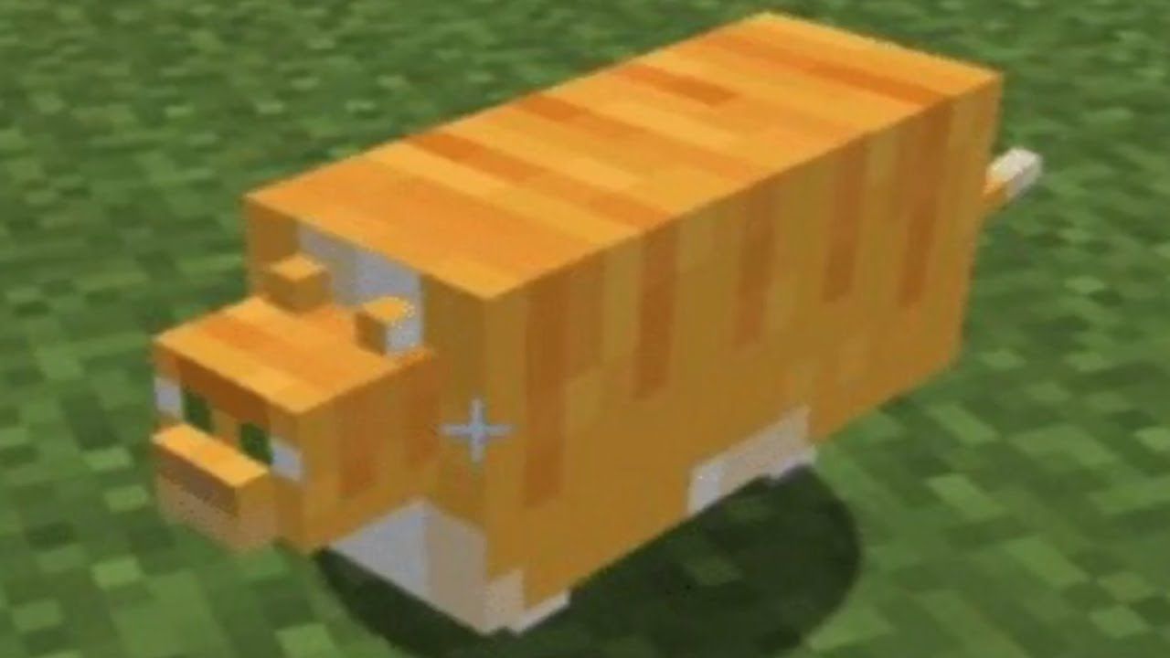 minecraft cat Wallpapers