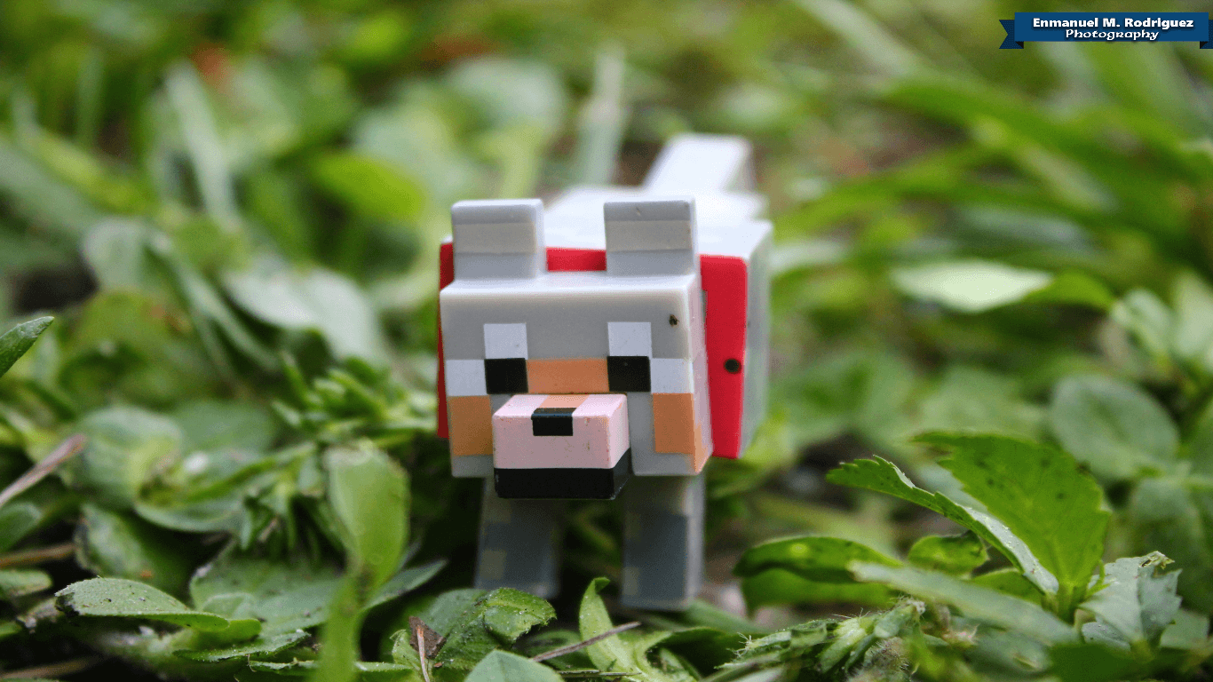 minecraft cute wolf wallpapers Wallpapers