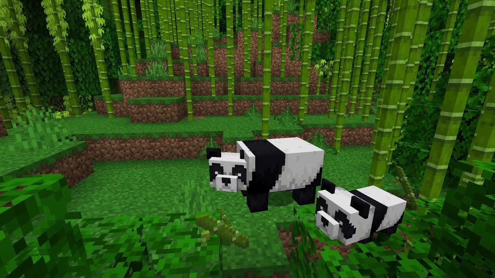 minecraft panda wallpaper Wallpapers