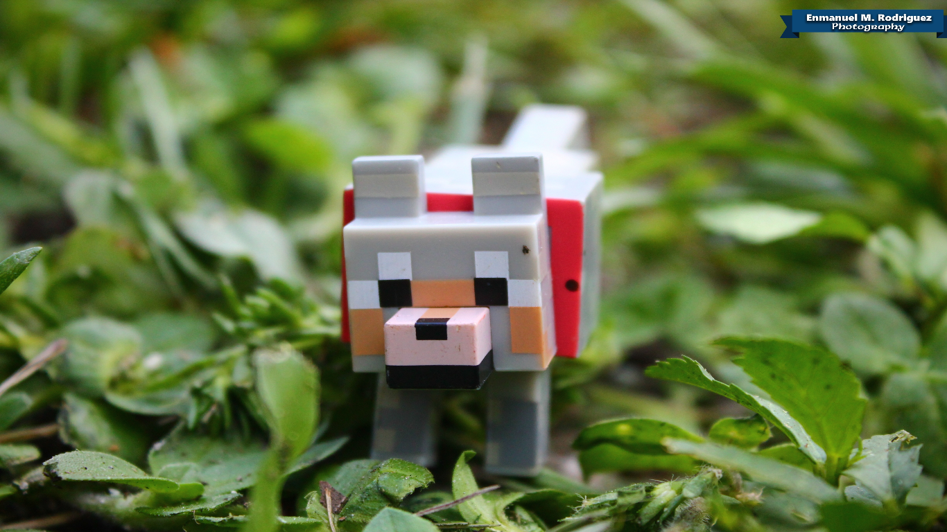 minecraft wolf Wallpapers