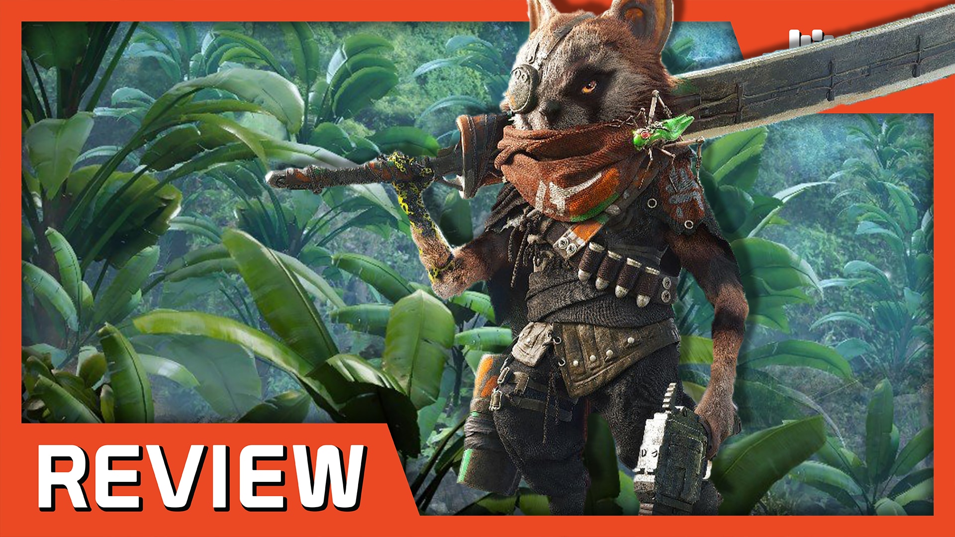 New Biomutant 2021 Wallpapers