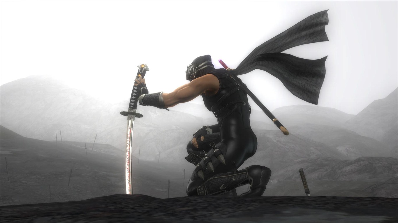 Ninja Gaiden 3 Wallpapers