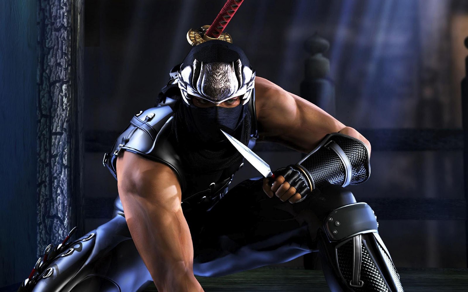 Ninja Gaiden 3 Wallpapers