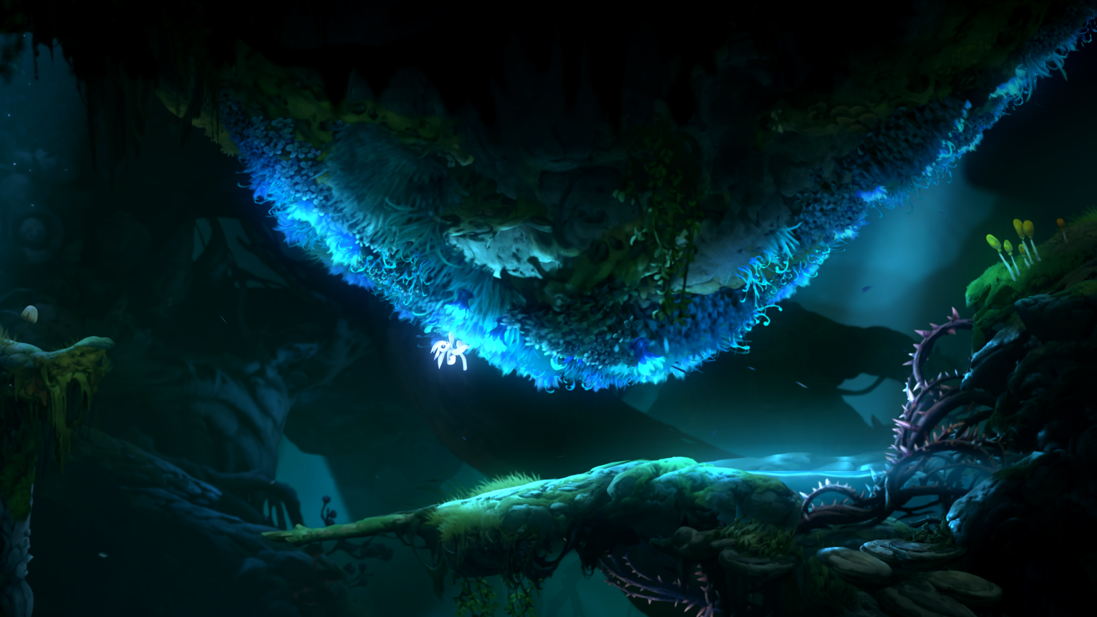 Ori and the Will of the Wisps Wallpapers