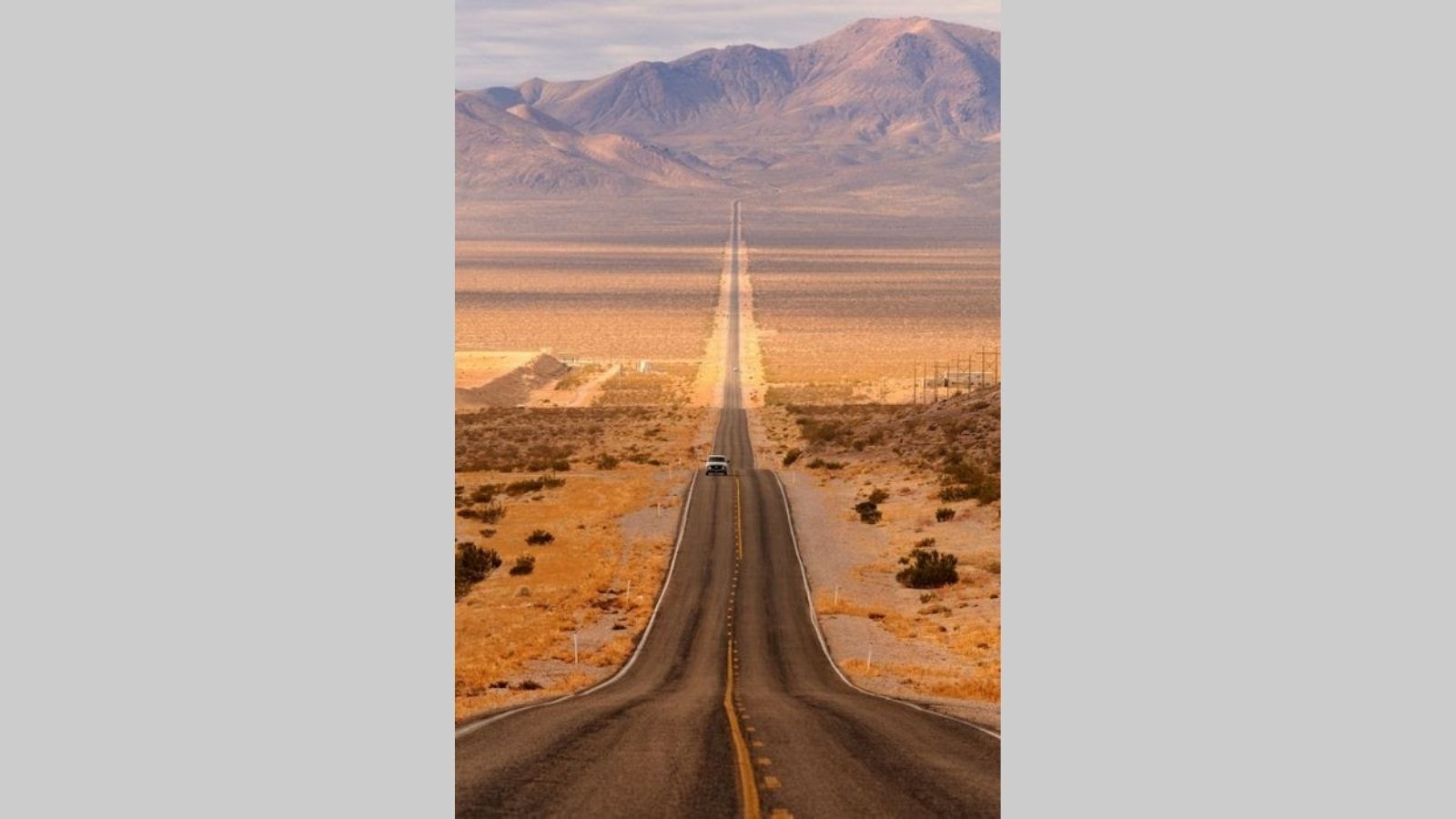 Road 96 HD Wallpapers