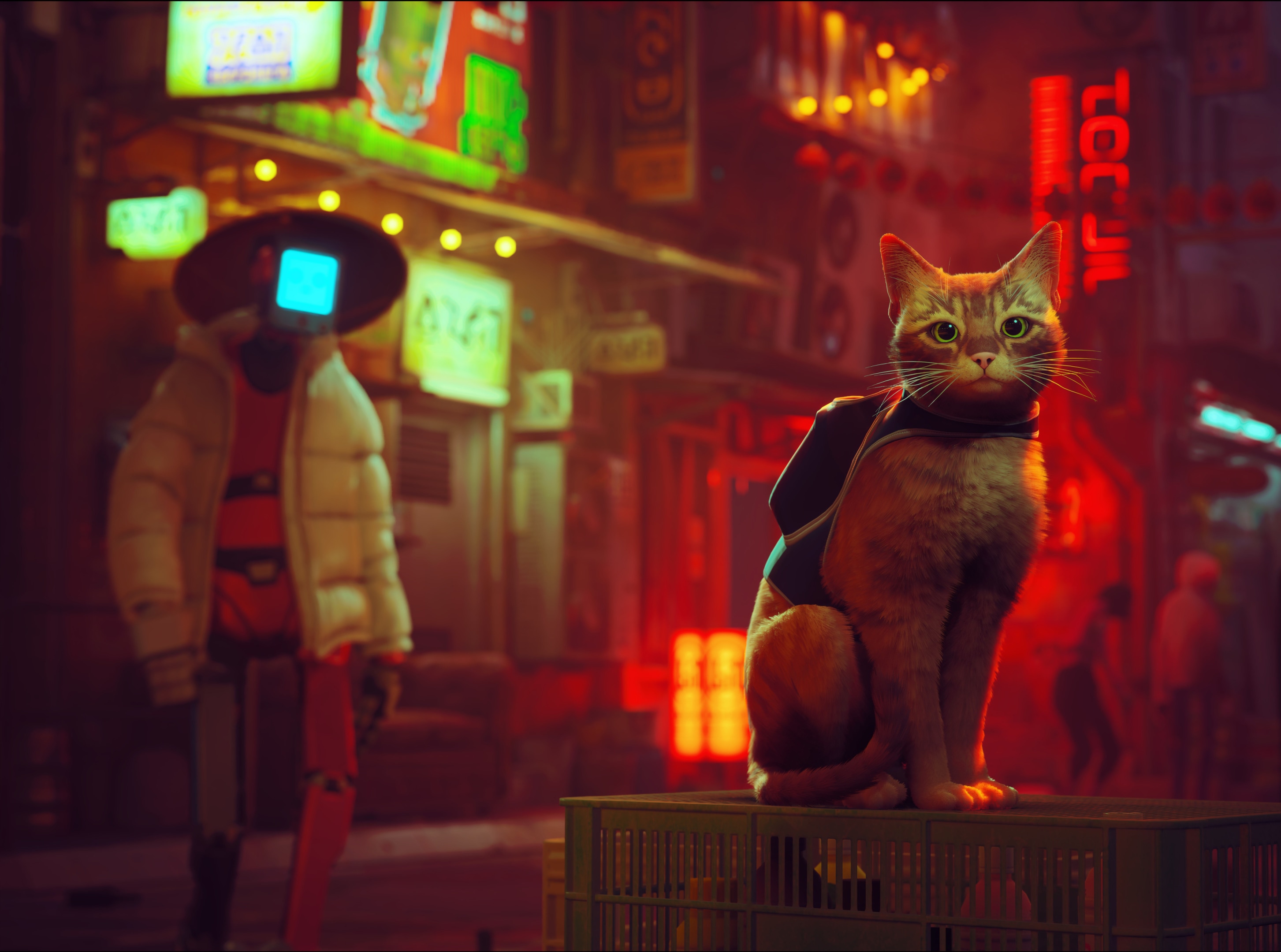 Stray Game Cat Wallpapers