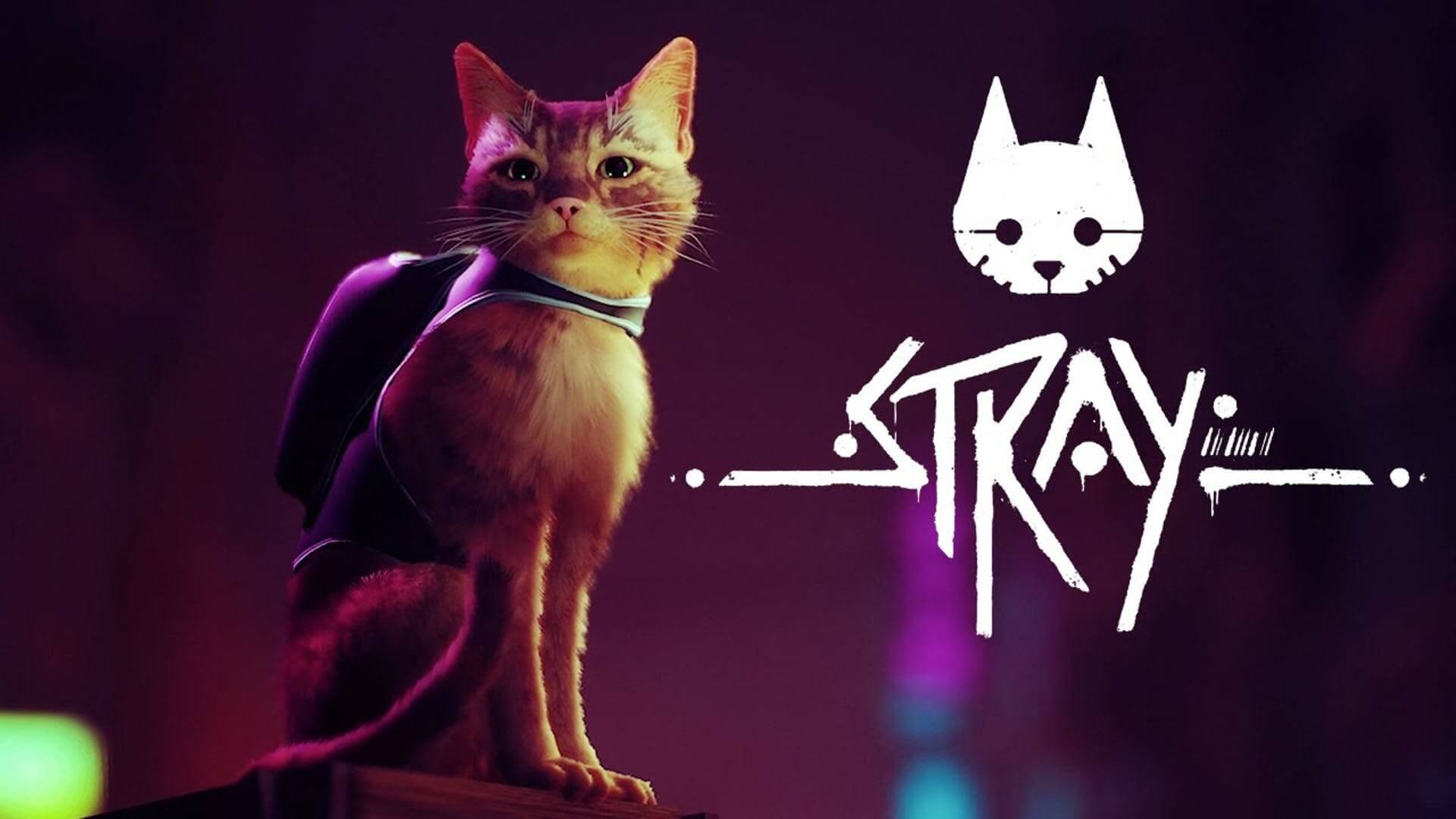Stray Game Cat Wallpapers