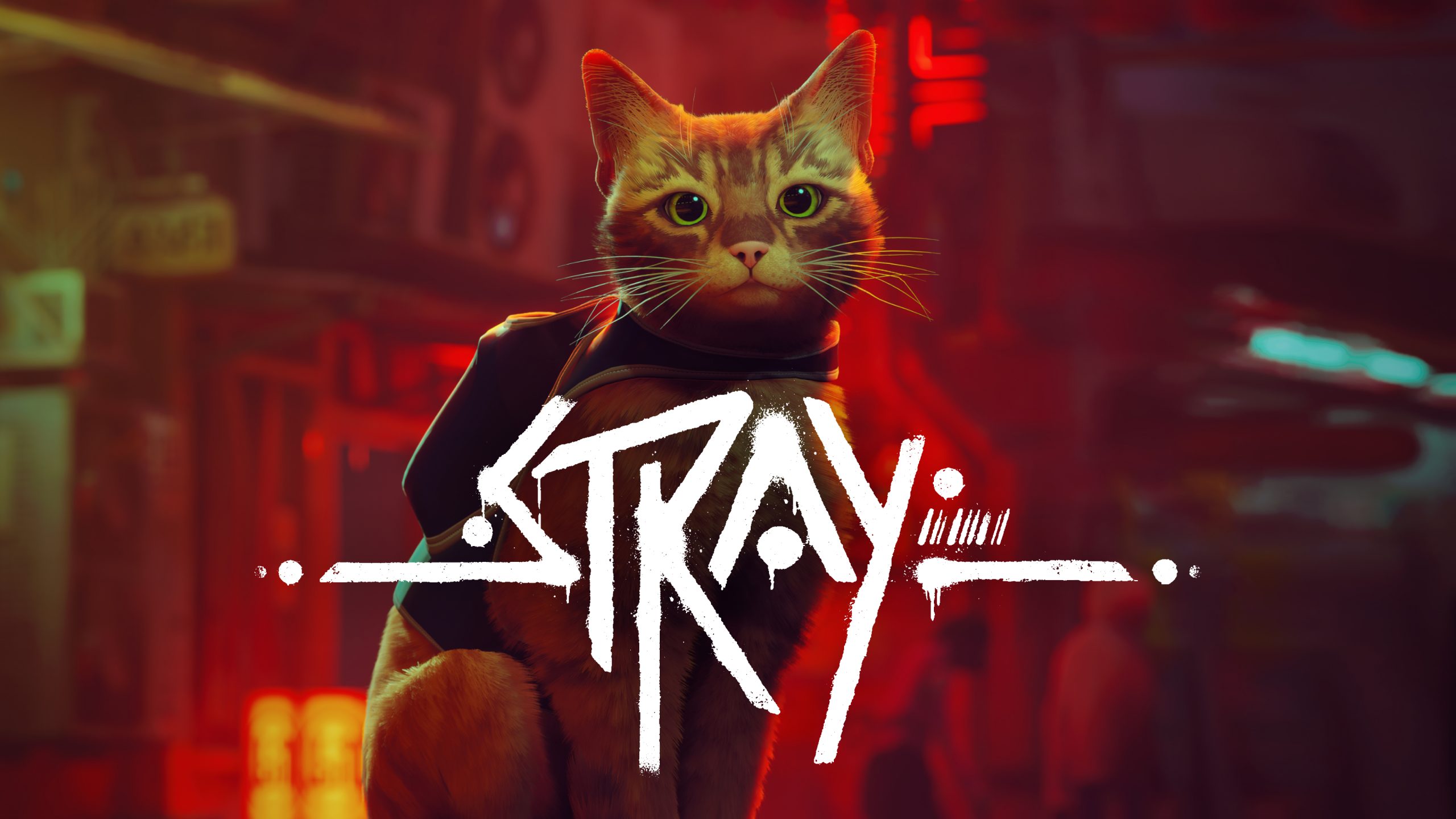 Stray Game Cat Wallpapers