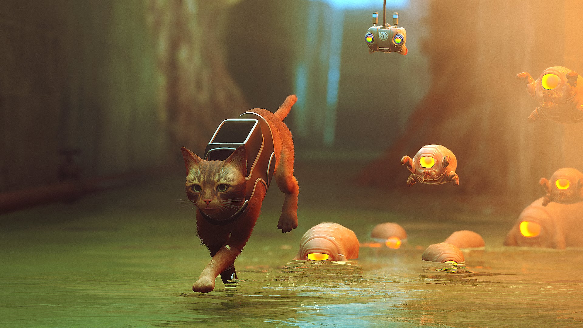 Stray Game Cat Wallpapers