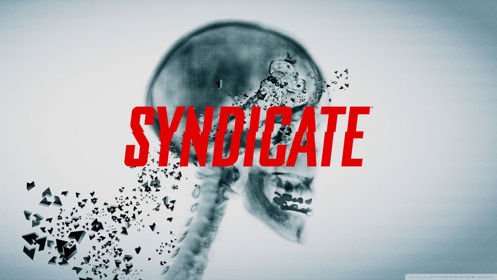 Syndicate Wallpapers