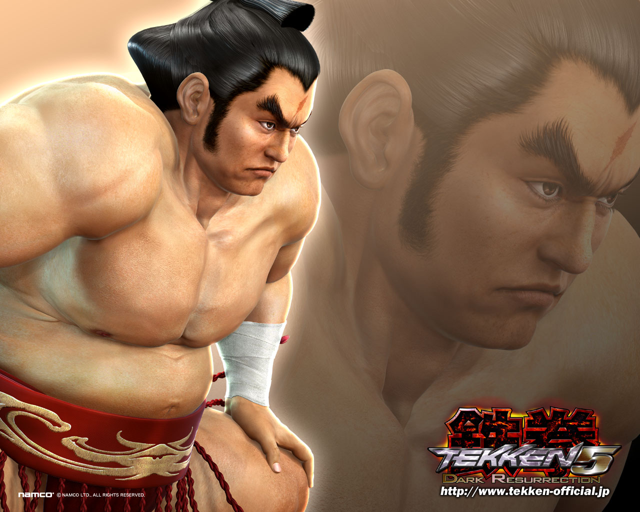 Tekken 5: Dark Resurrection Wallpapers