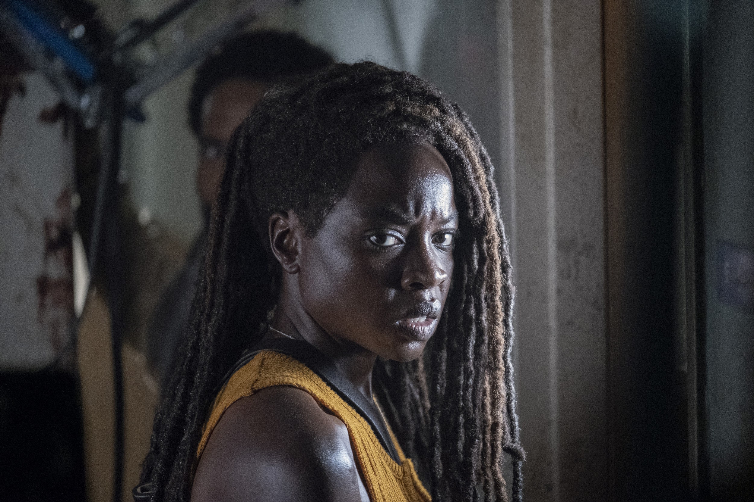 The Walking Dead: Michonne Wallpapers