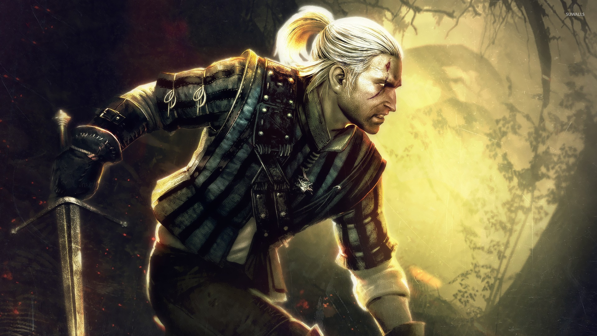 The Witcher 2: Assassins Of Kings Wallpapers