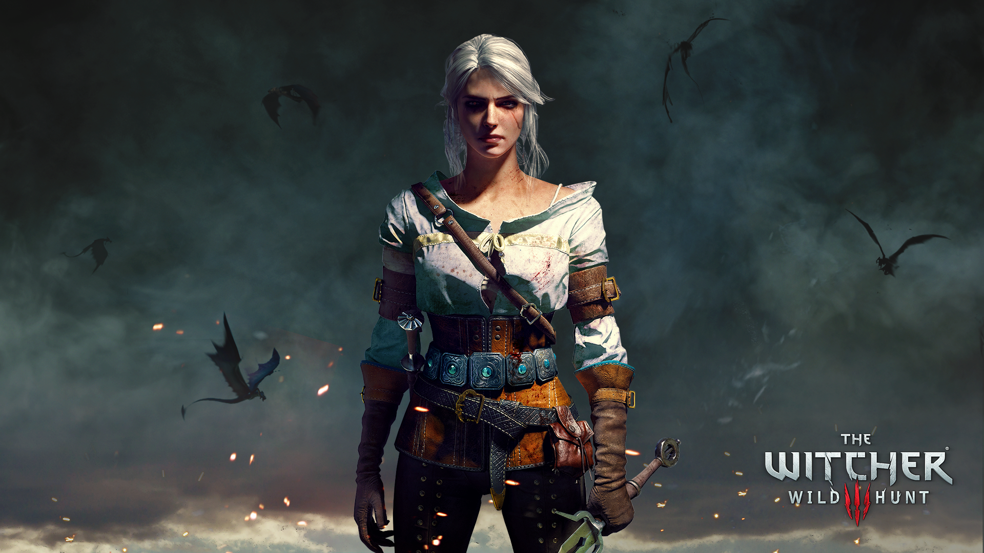 The Witcher 3: Wild Hunt Wallpapers