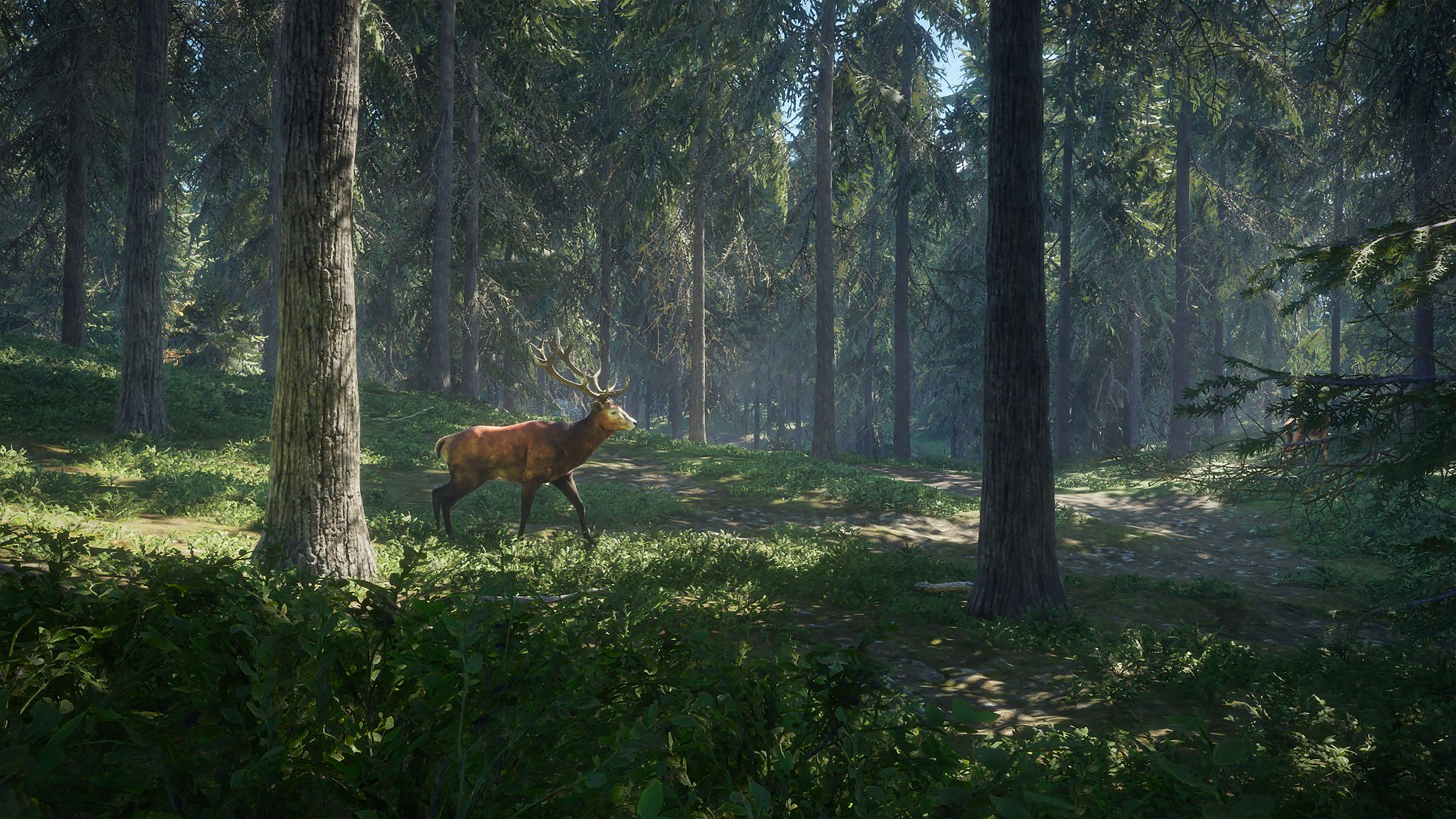 theHunter: Call of The Wild Wallpapers