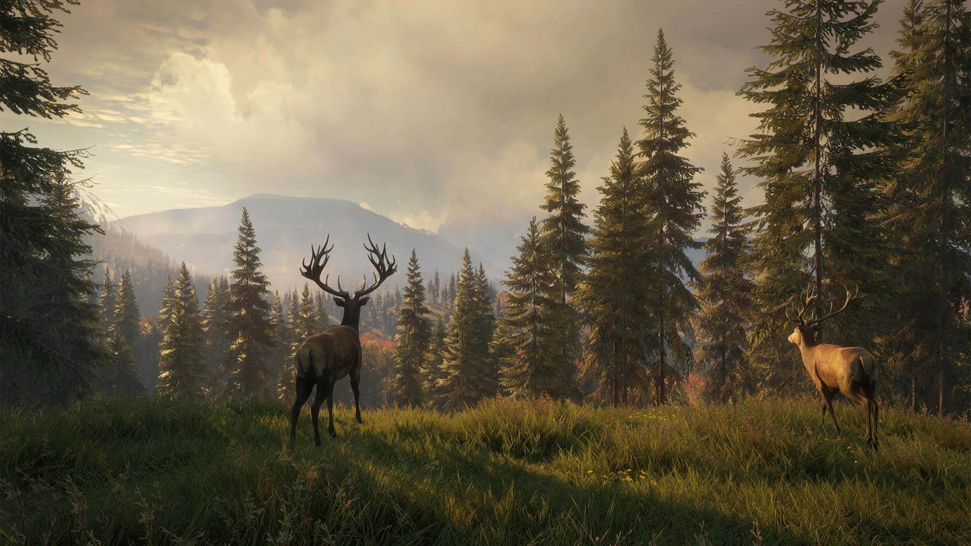 theHunter: Call of The Wild Wallpapers