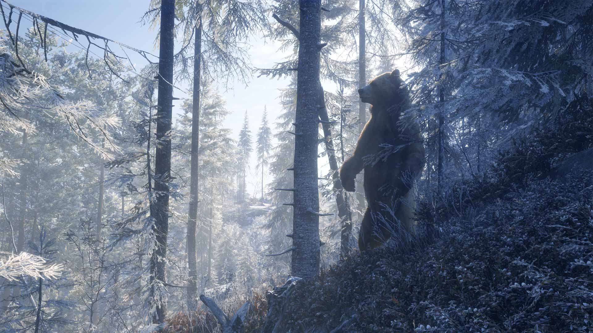 theHunter: Call of The Wild Wallpapers