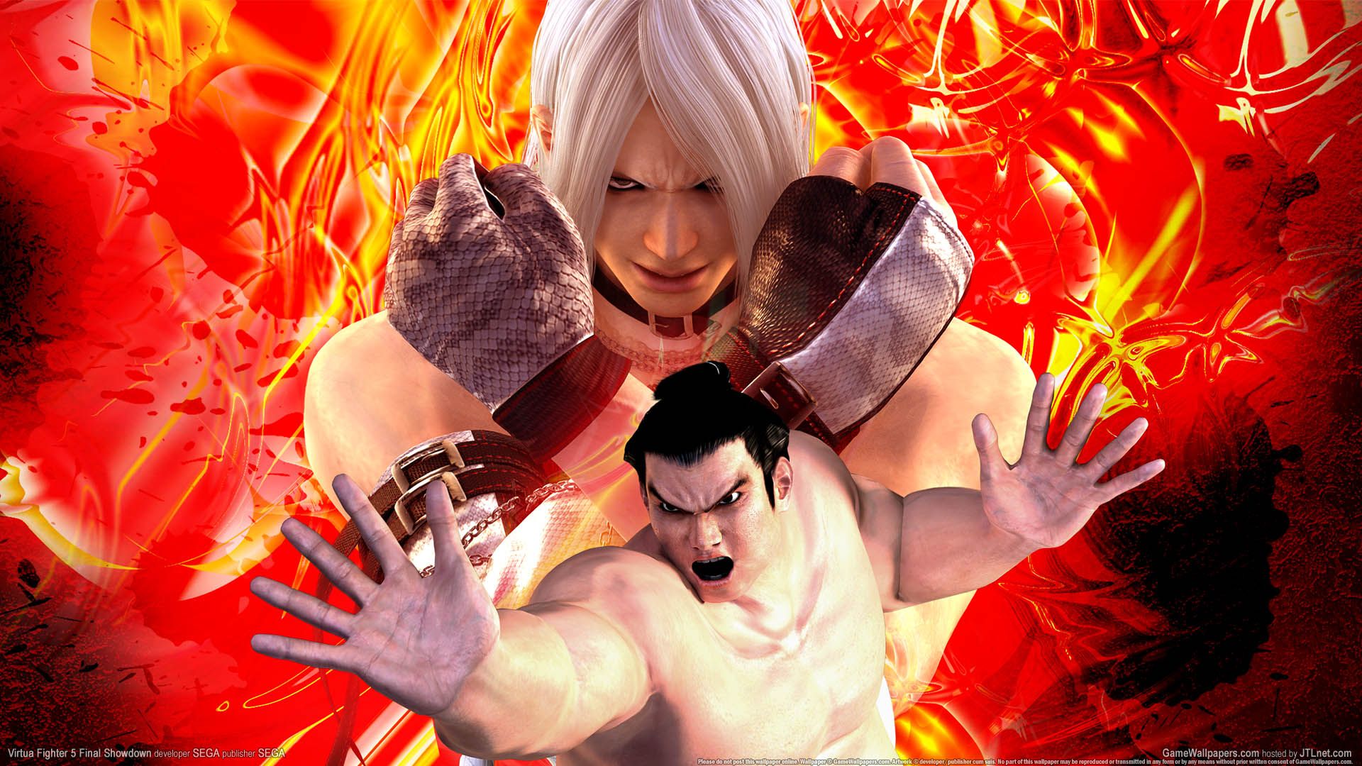 Virtua Fighter Ultimate Showdown Wallpapers