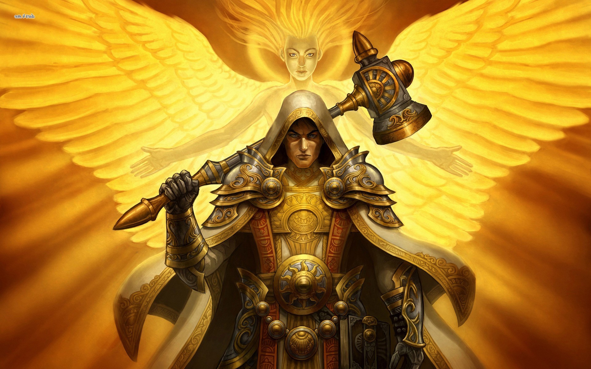 world of warcraft paladin Wallpapers