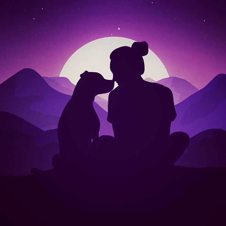 Alone With Pet In Sunlight
 Wallpapers