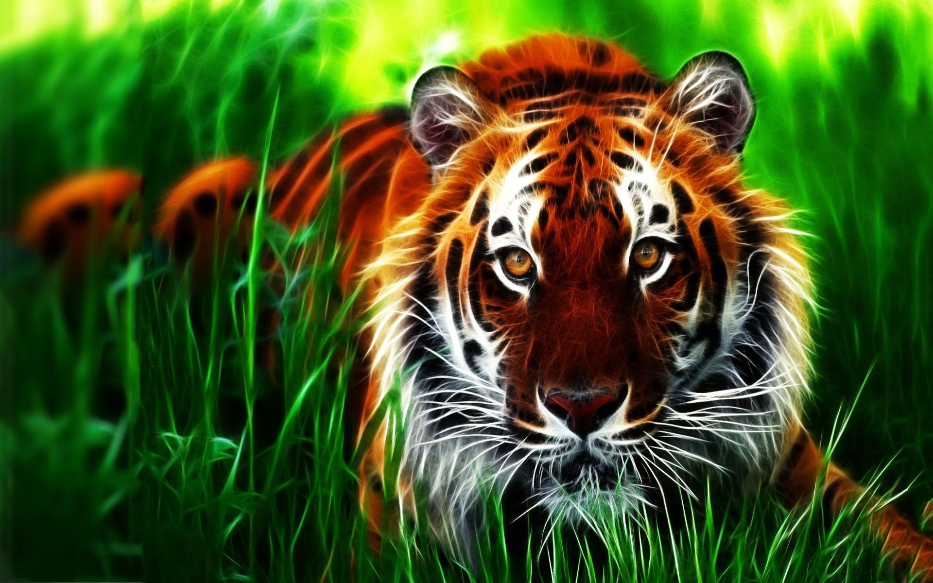 Animal Wallpapers