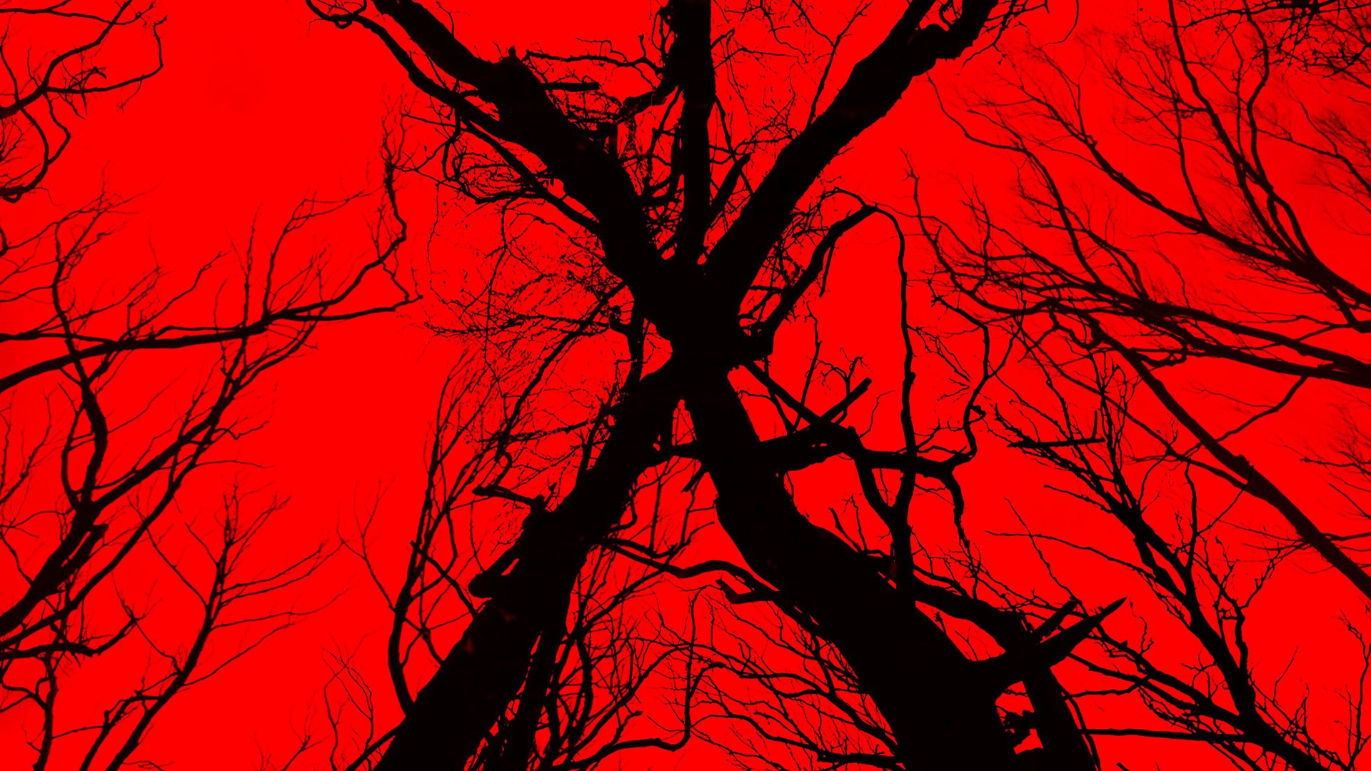 Blair Witch Wallpapers