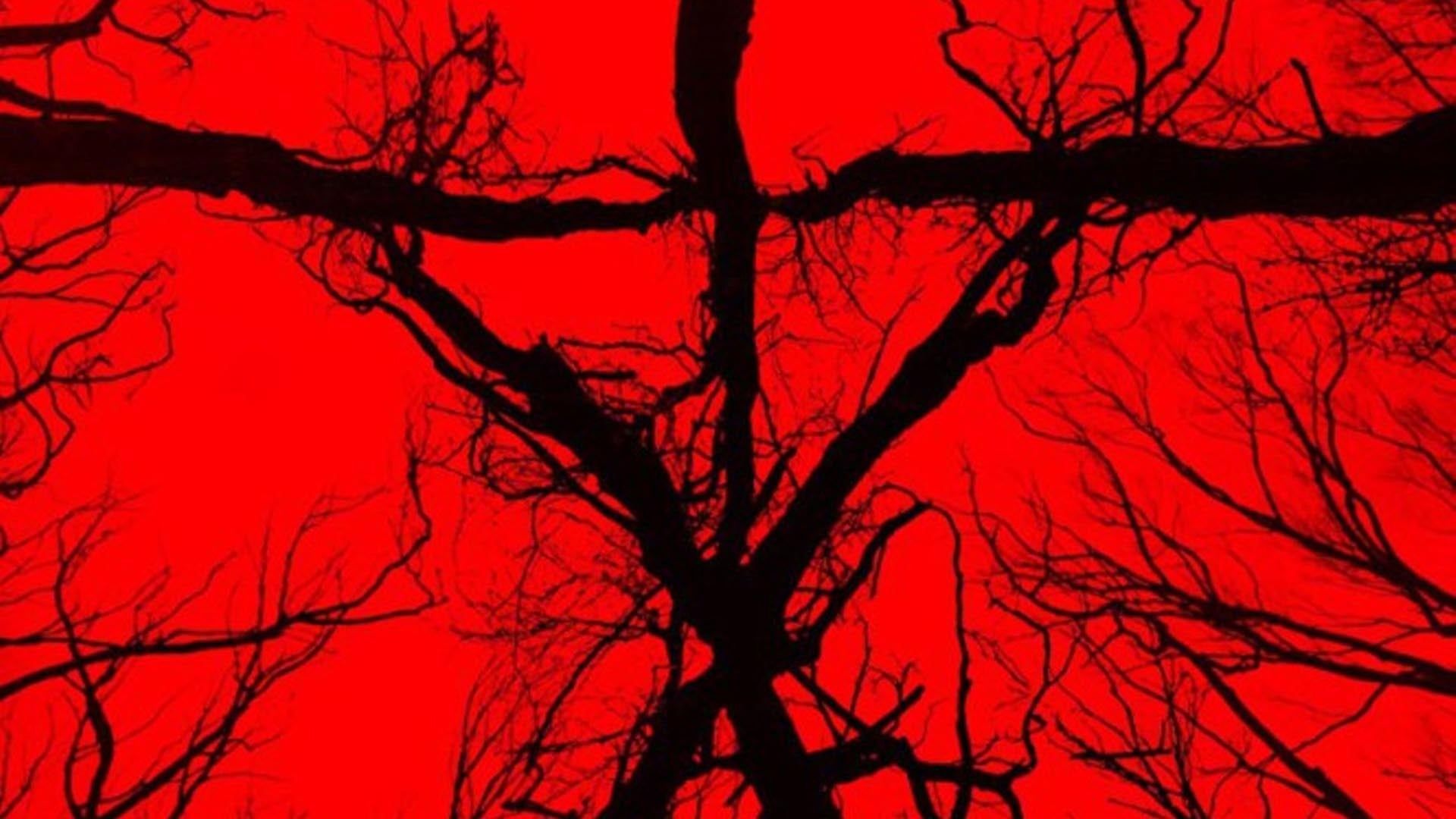 Blair Witch Wallpapers