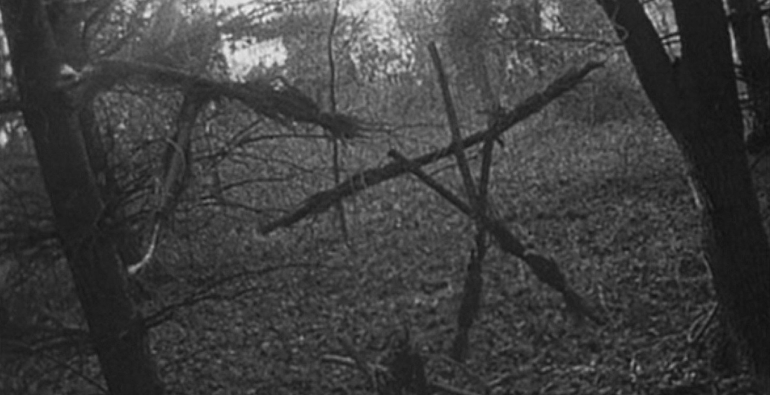 Blair Witch Wallpapers