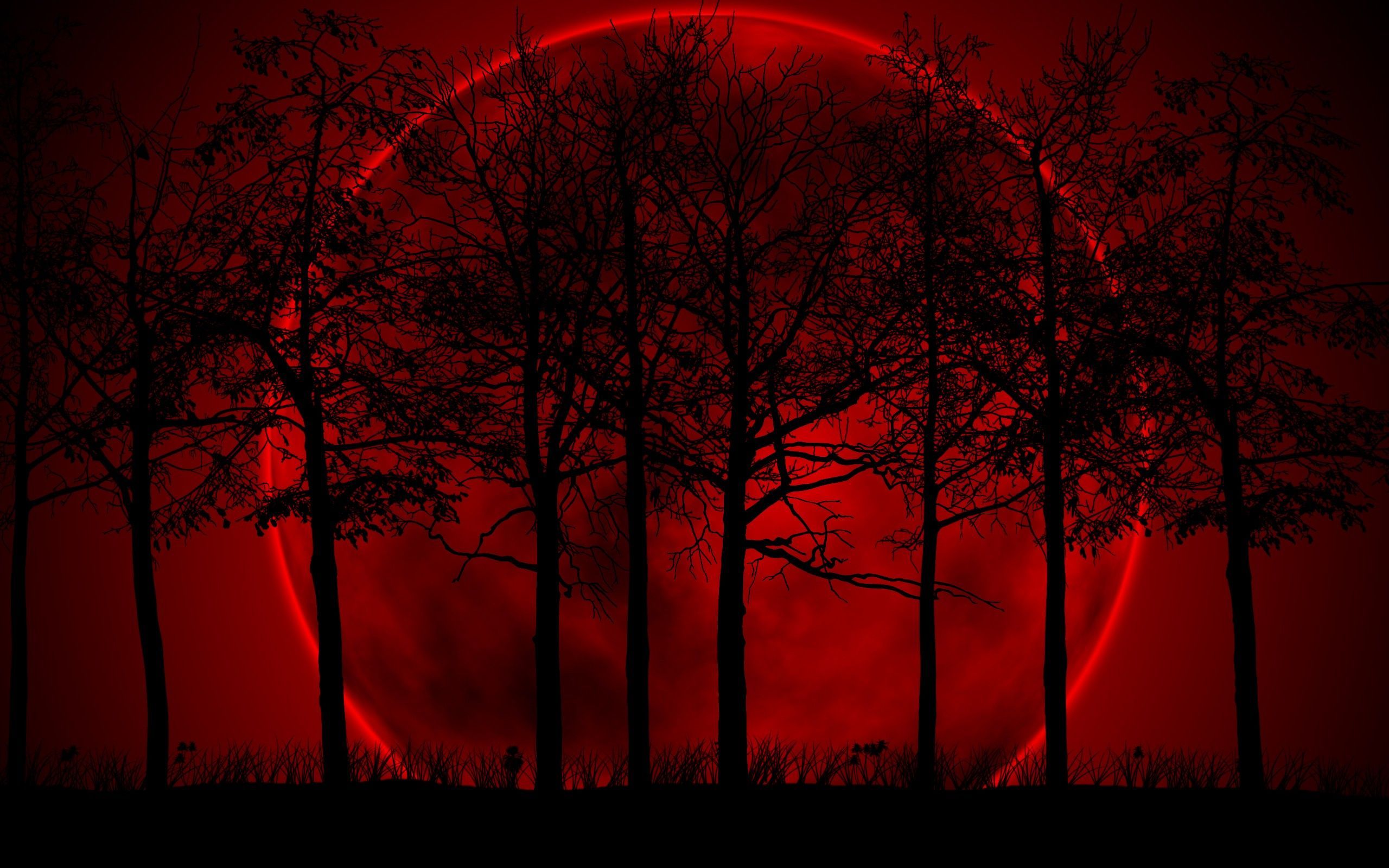 Blood Wallpapers