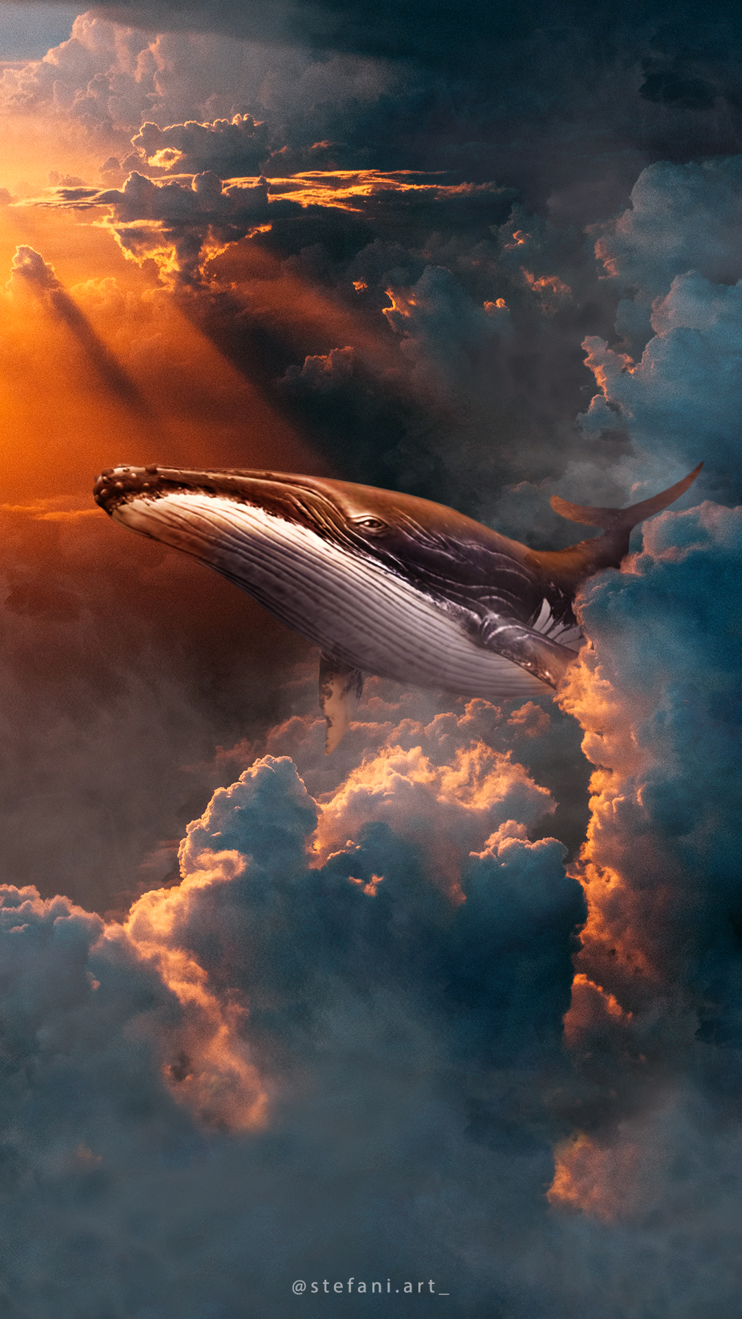 Cloud Sky Whale
 Wallpapers