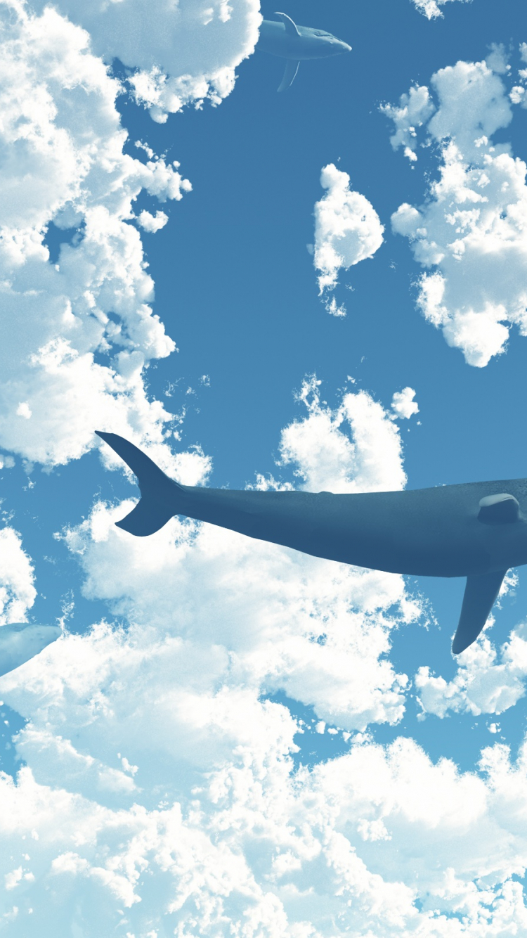 Cloud Sky Whale
 Wallpapers