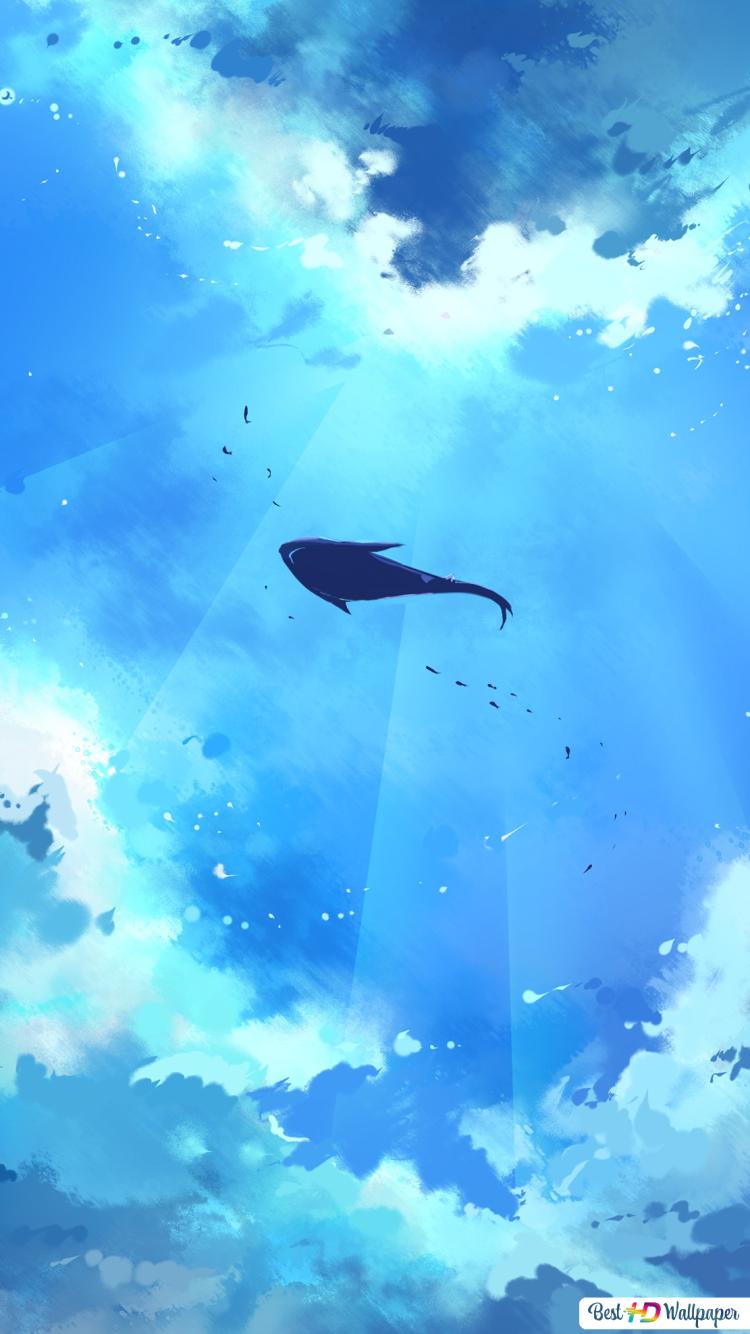 Cloud Sky Whale
 Wallpapers