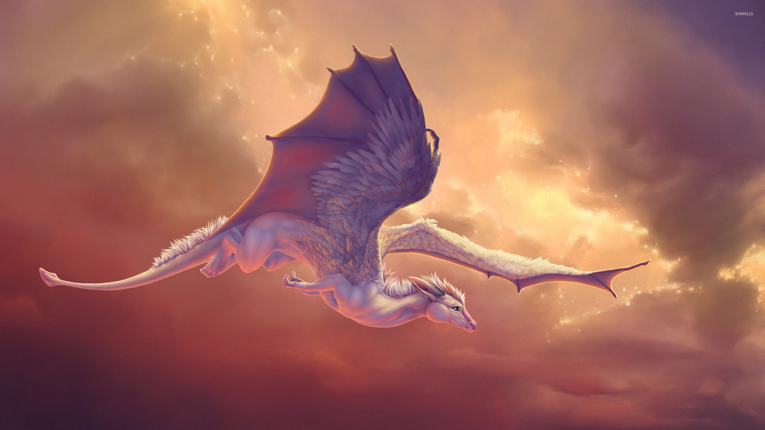 Coastline Dragon Flying
 Wallpapers