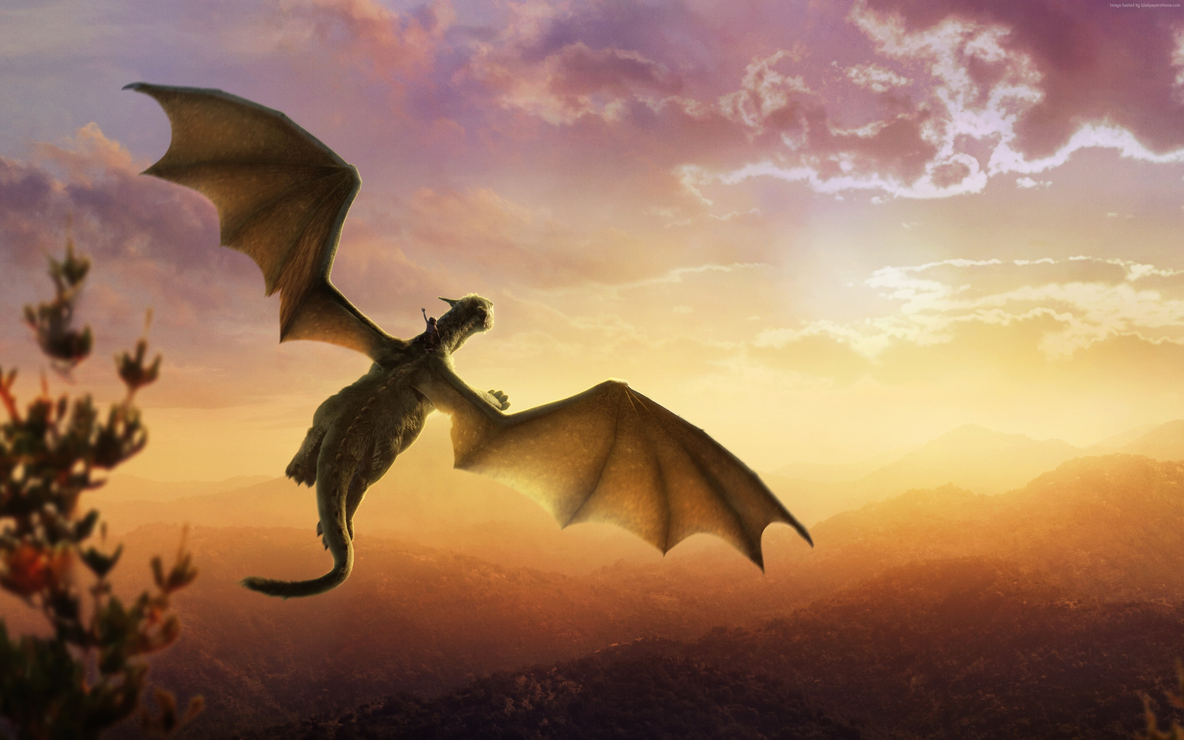 Coastline Dragon Flying
 Wallpapers