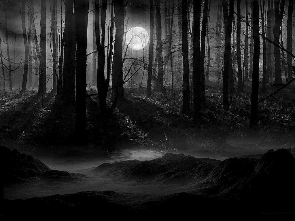 Dark Night Landscape
 Wallpapers