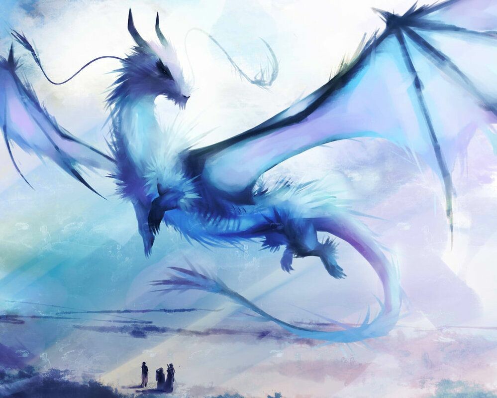 Dragon Beauty
 Wallpapers