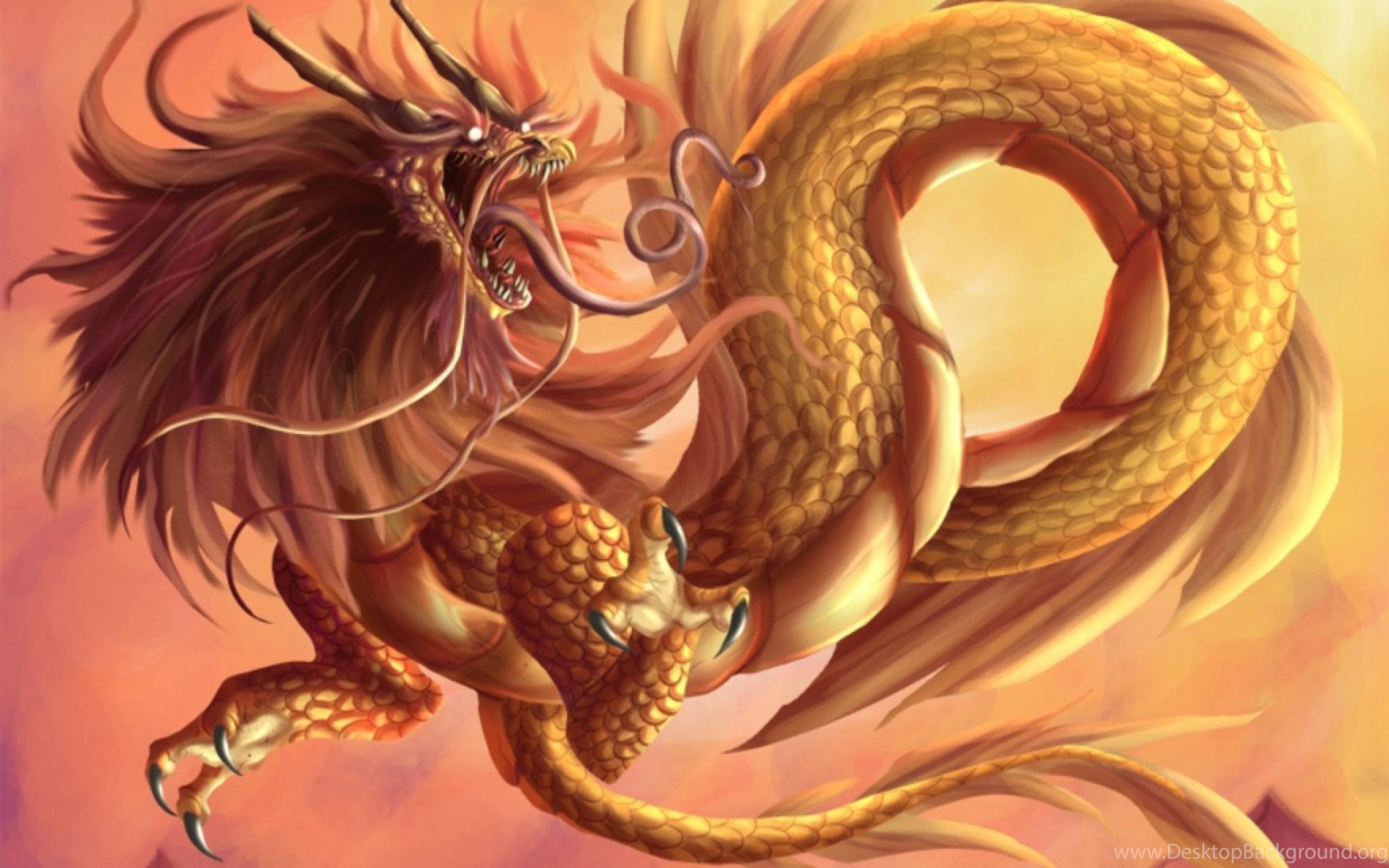 Dragon Beauty
 Wallpapers