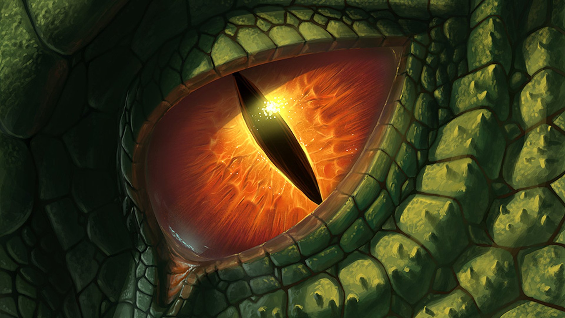 Dragon Eyes
 Wallpapers