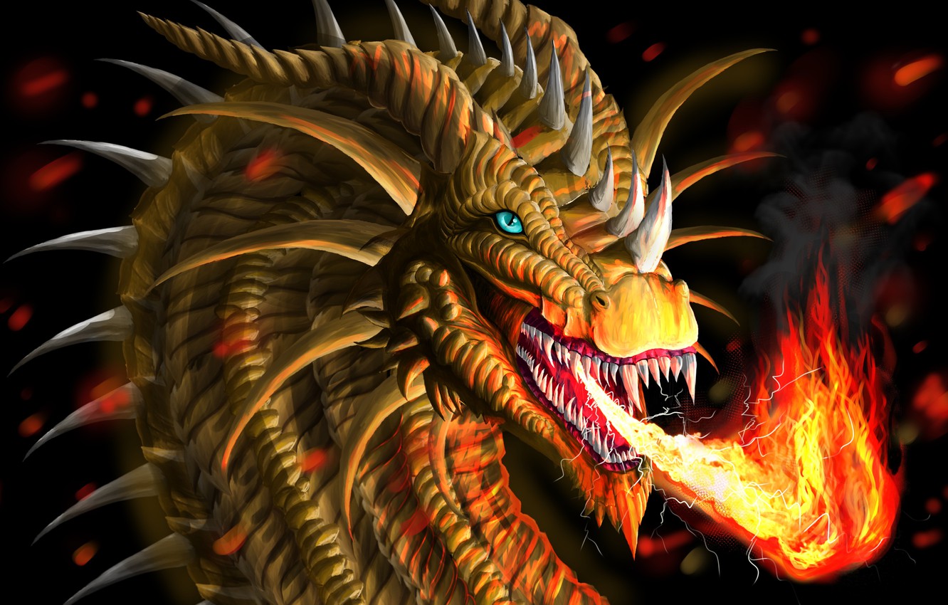 Dragon Fire Art
 Wallpapers