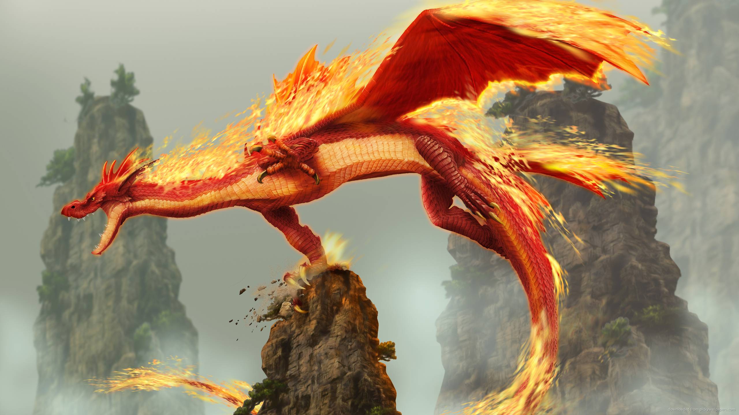 Dragon Fire
 Wallpapers