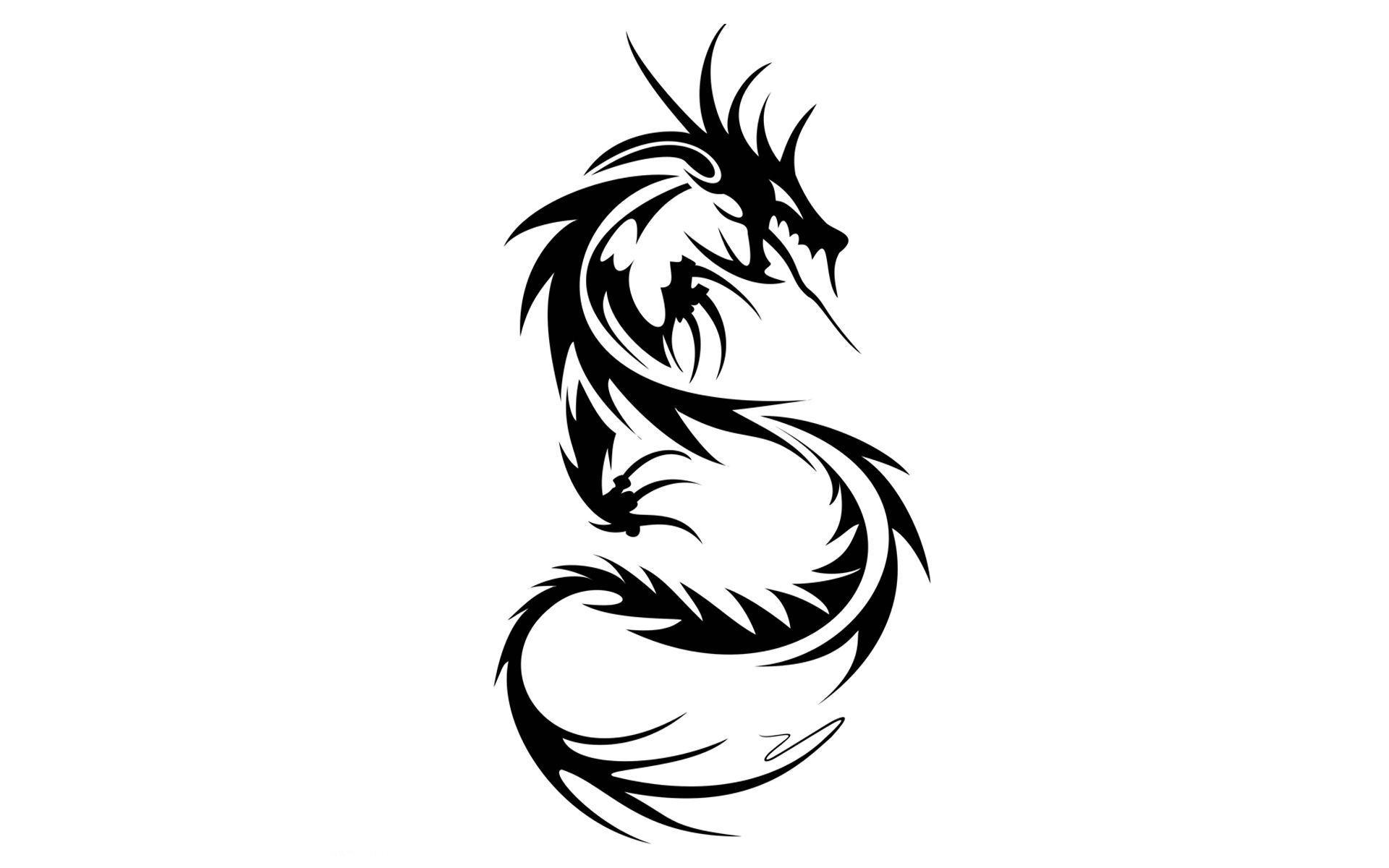 Dragon Tattoo
 Wallpapers