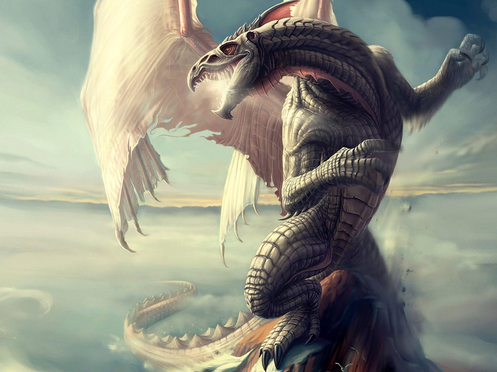Dragon
 1080P Wallpapers