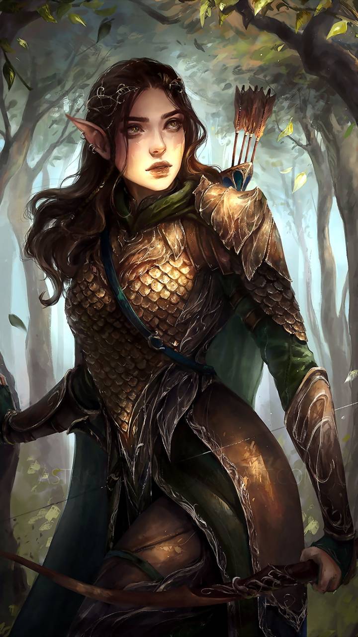 Elf  Woman Archer Warrior
 Wallpapers