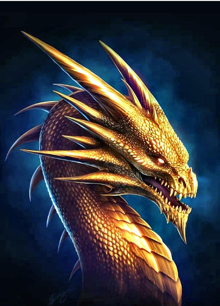 Fantasy Dragon Face Yellow Eyes
 Wallpapers