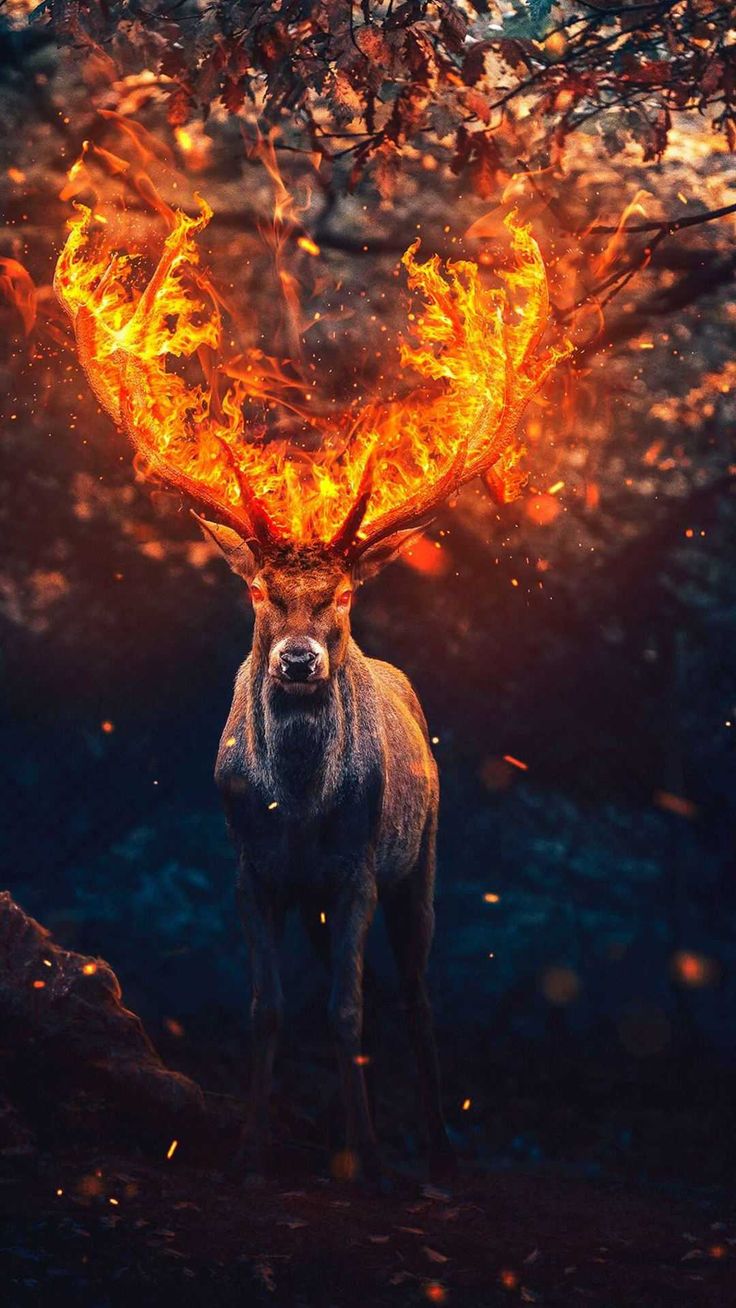 Fantasy Elk Wallpapers