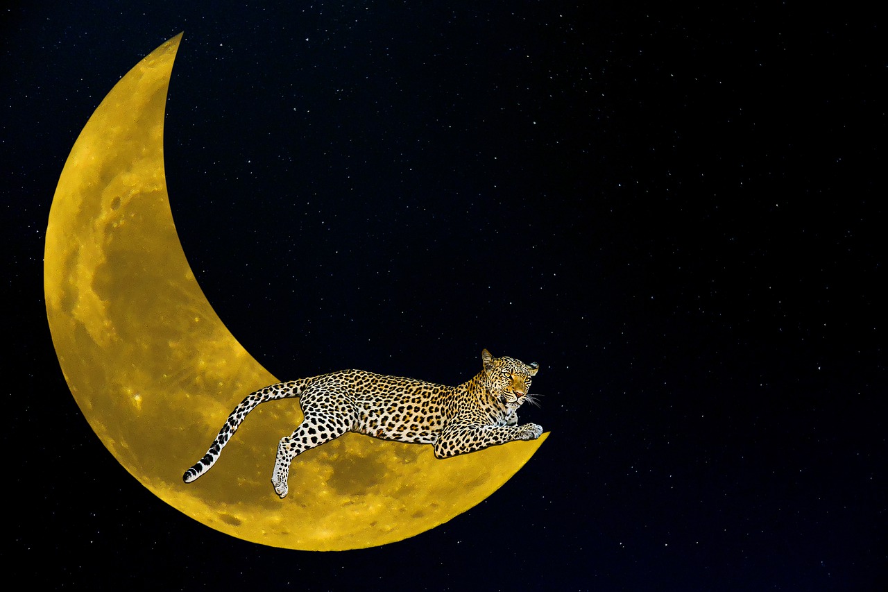 Fantasy Leopard Wallpapers