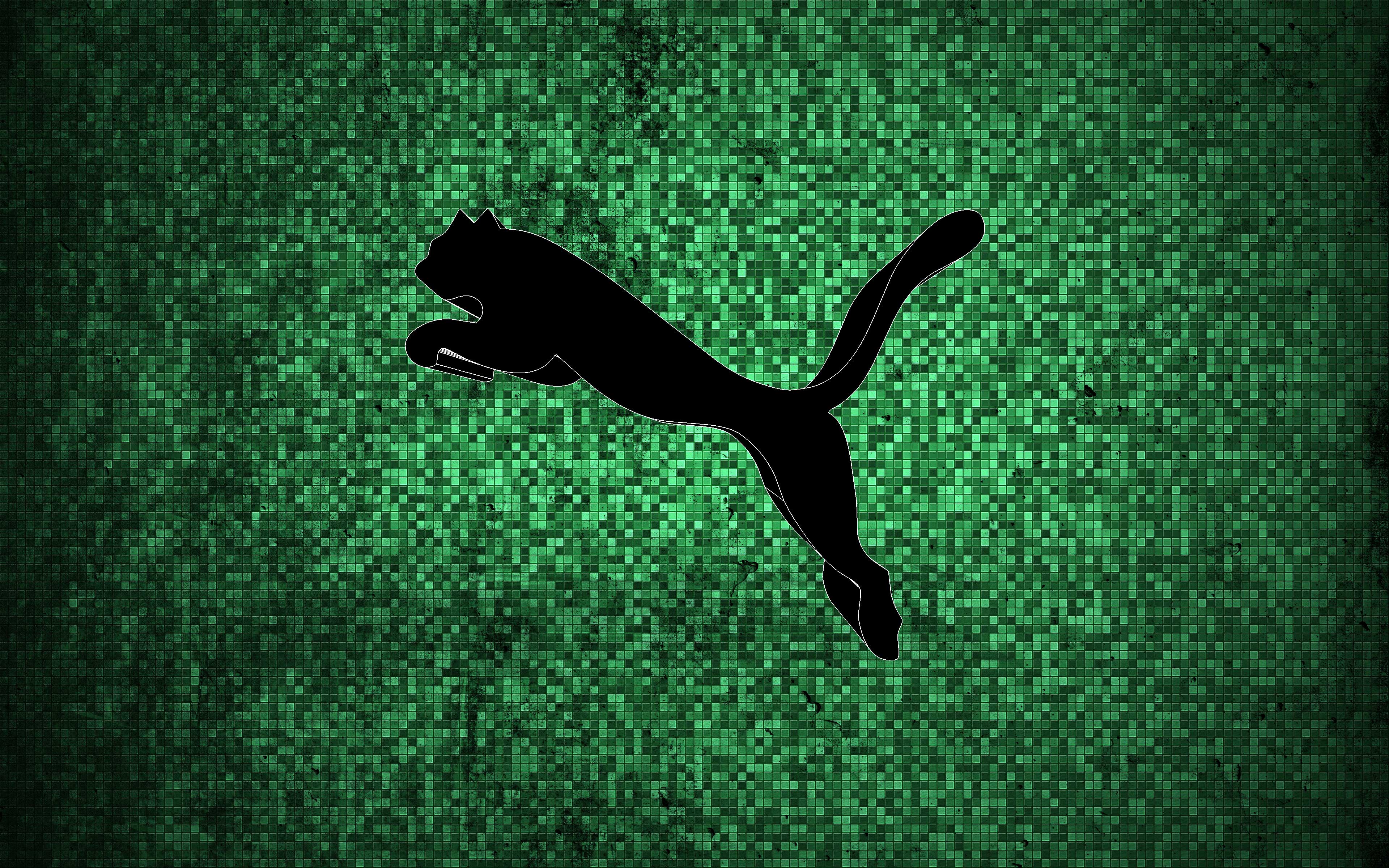 Fantasy Puma Wallpapers