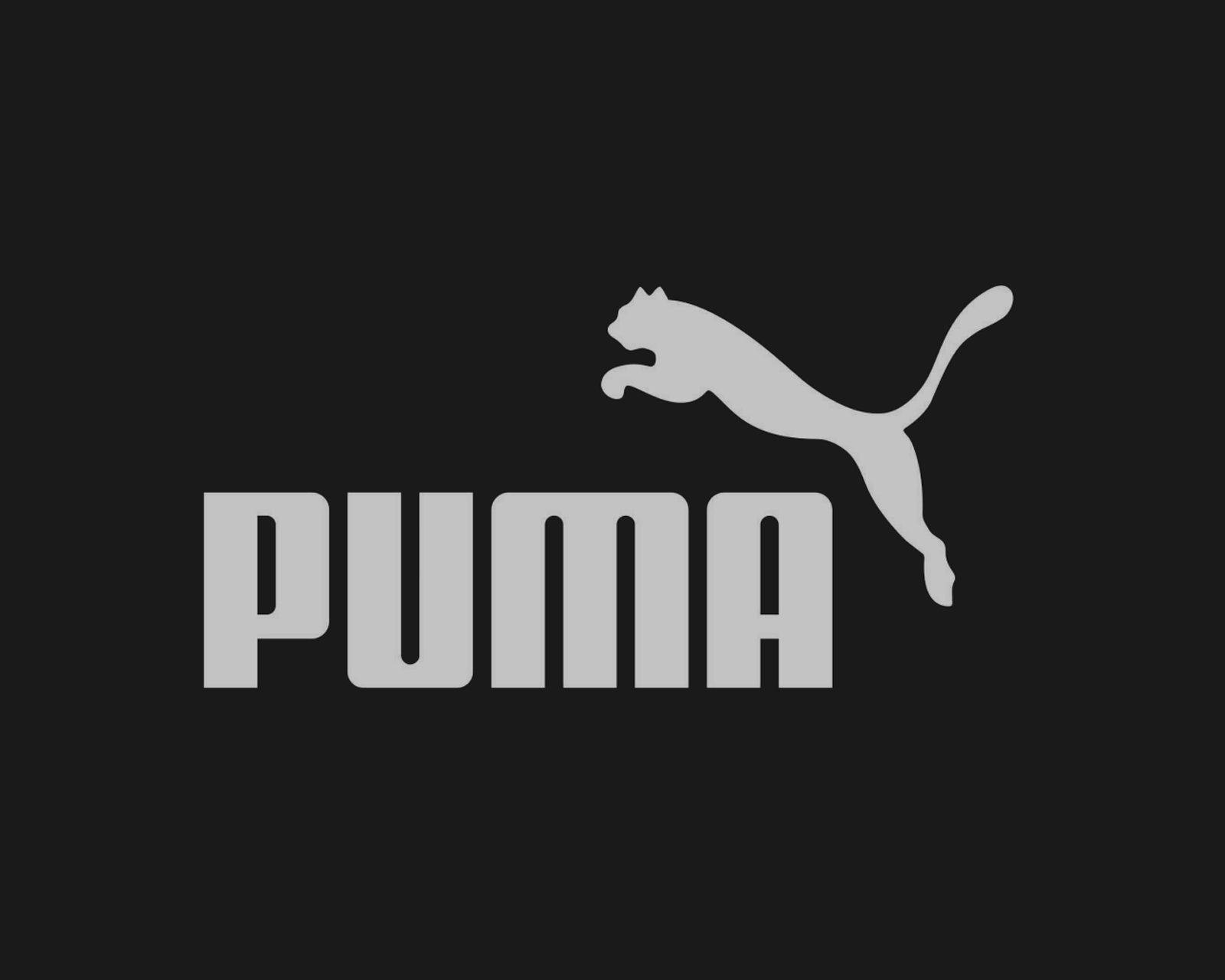 Fantasy Puma Wallpapers